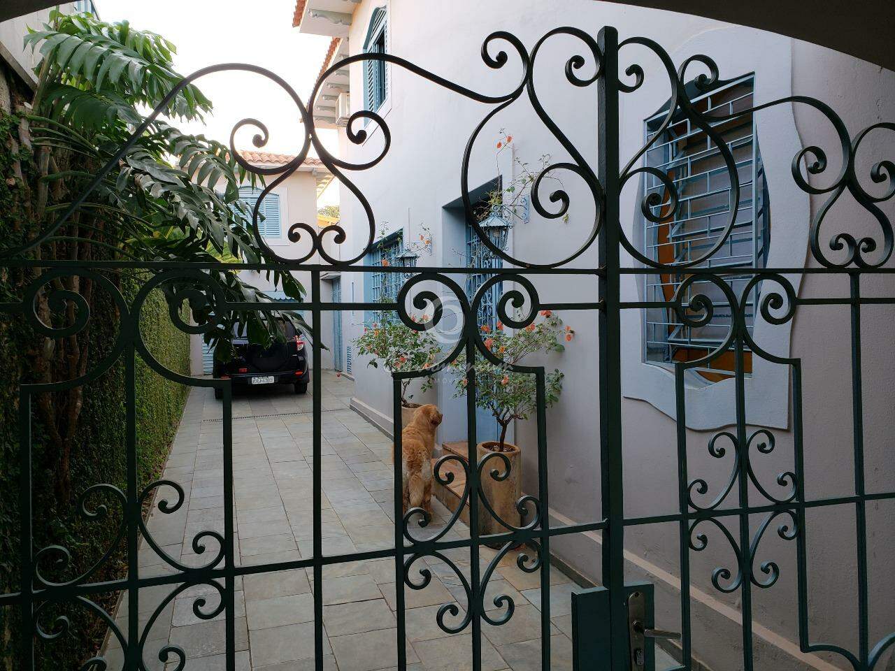 Casa com 5 quartos à venda, 400m² — foto 5 de 29
