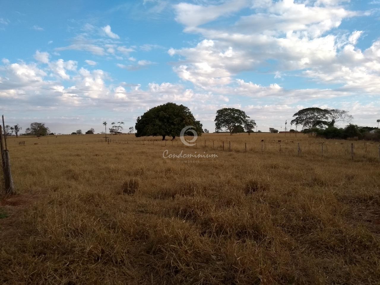 Fazenda / Sítio / Chácara  à venda, 17m² — foto 18 de 18