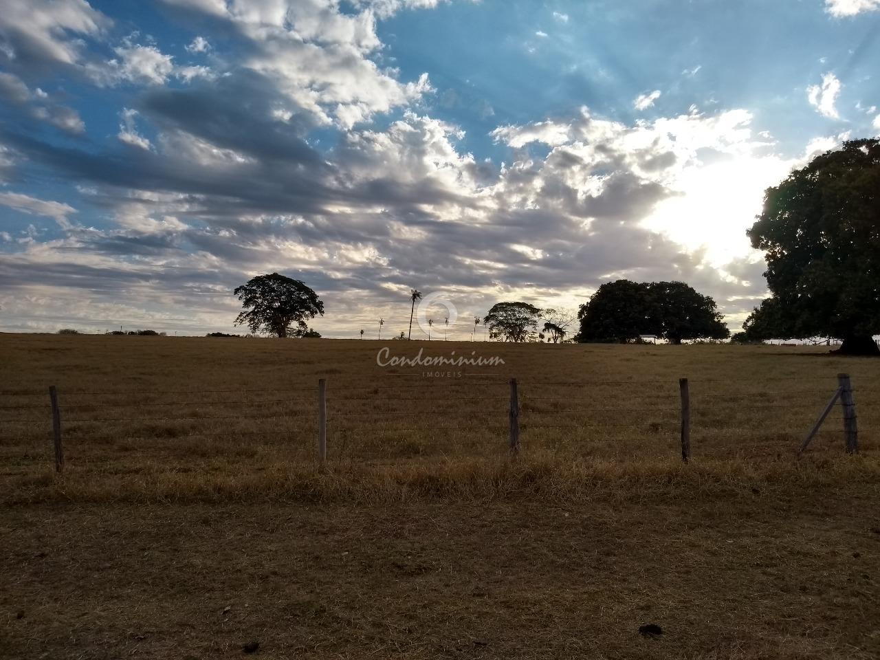 Fazenda / Sítio / Chácara  à venda, 17m² — foto 11 de 18