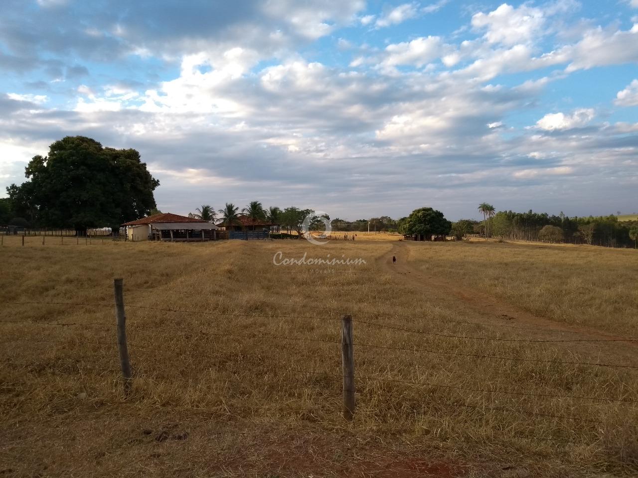 Fazenda / Sítio / Chácara  à venda, 17m² — foto 12 de 18