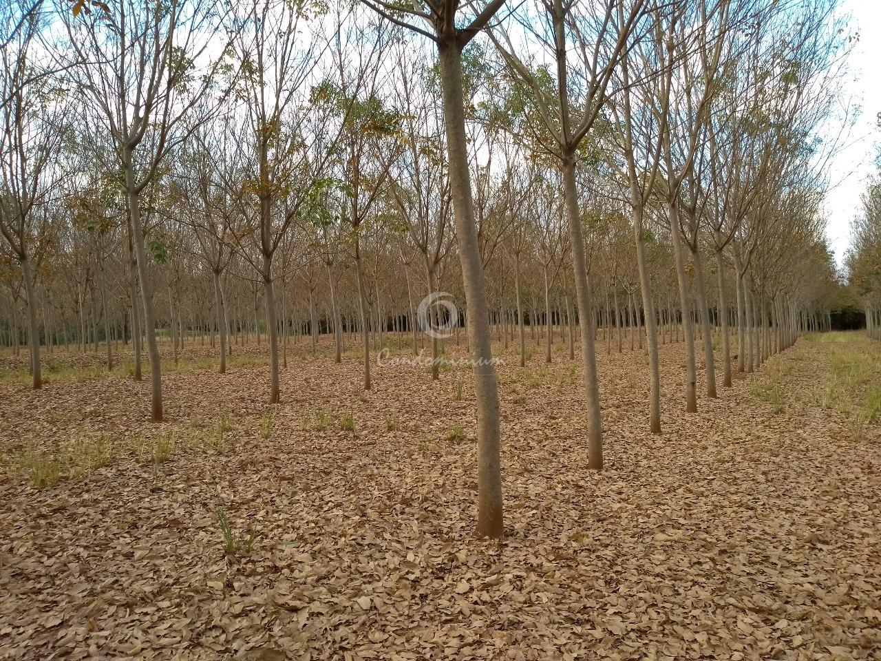 Fazenda / Sítio / Chácara  à venda, 17m² — foto 1 de 18
