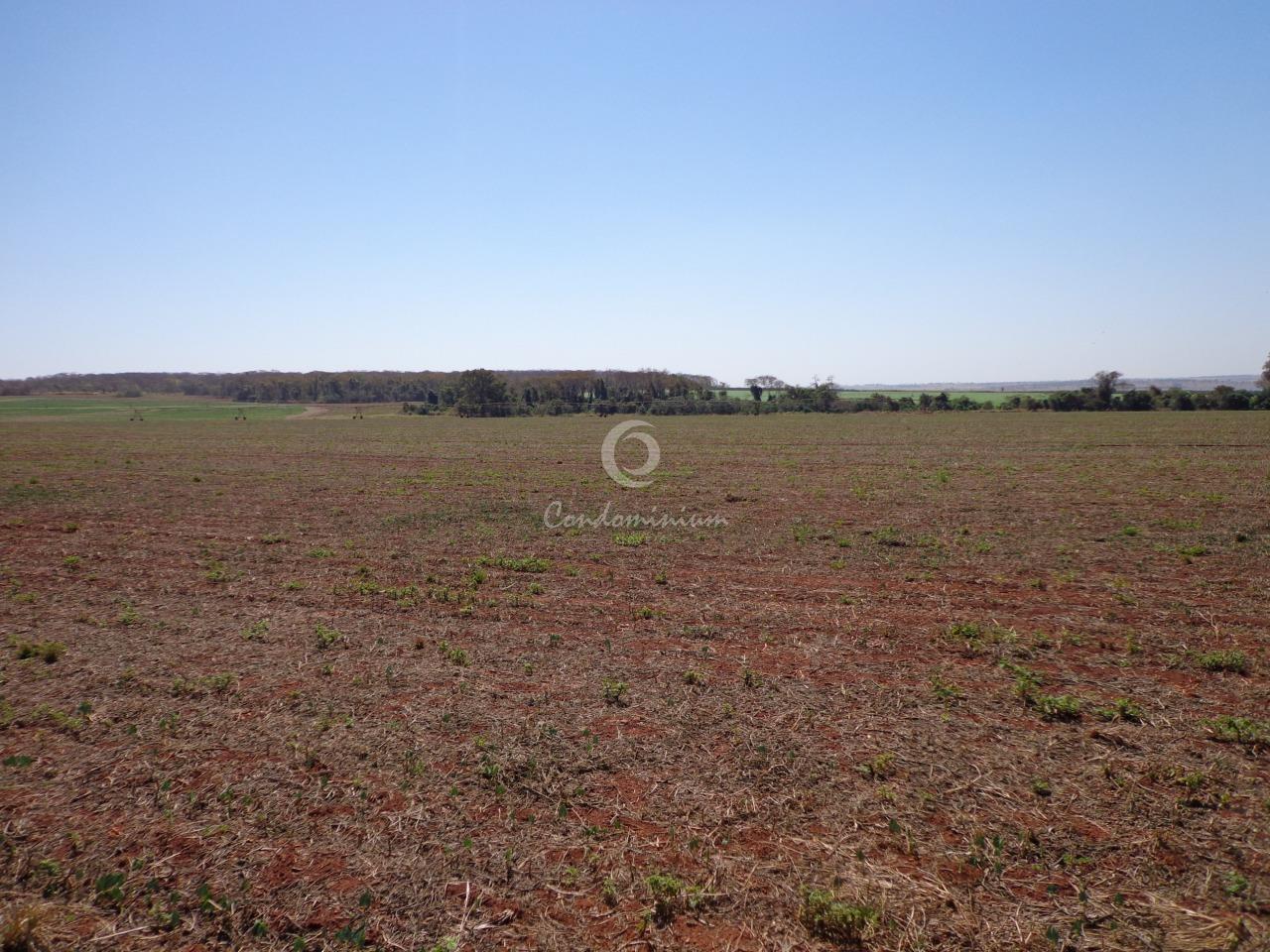 Fazenda / Sítio / Chácara  à venda, 225m² — foto 17 de 18
