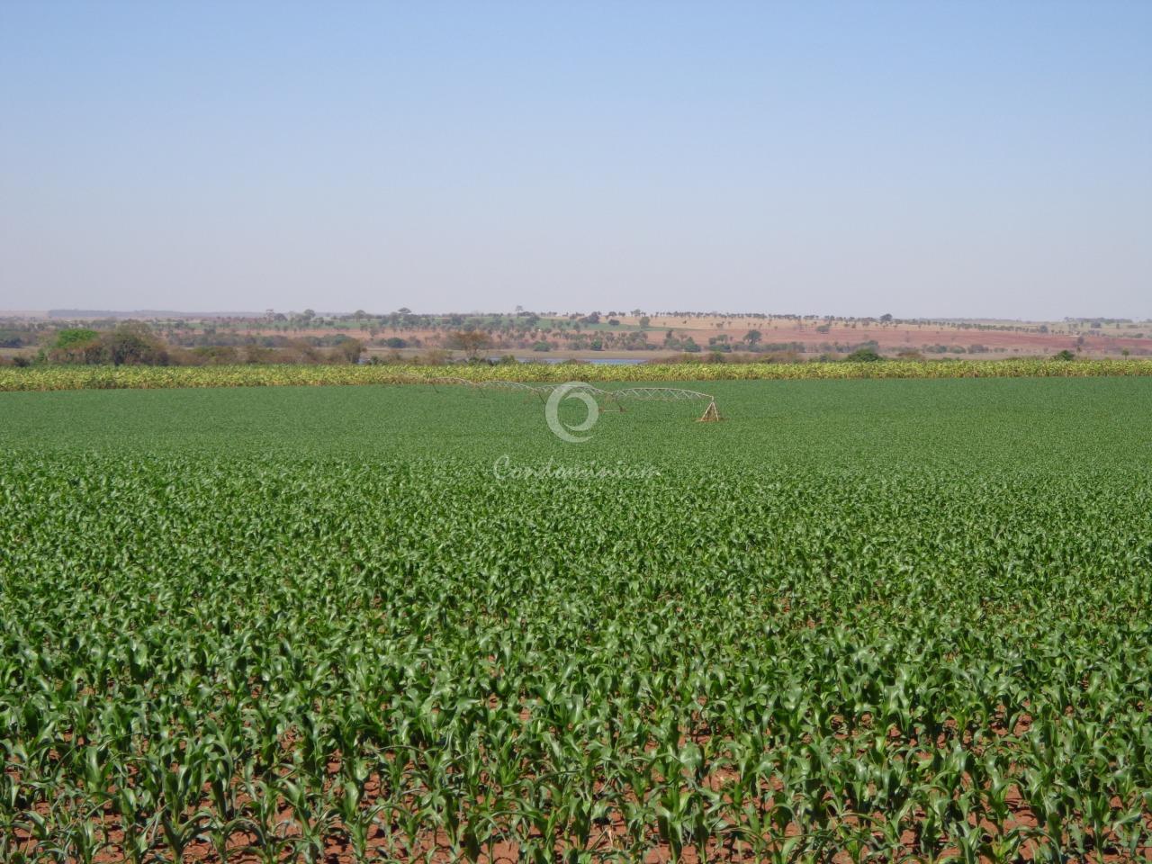 Fazenda / Sítio / Chácara  à venda, 225m² — foto 2 de 18