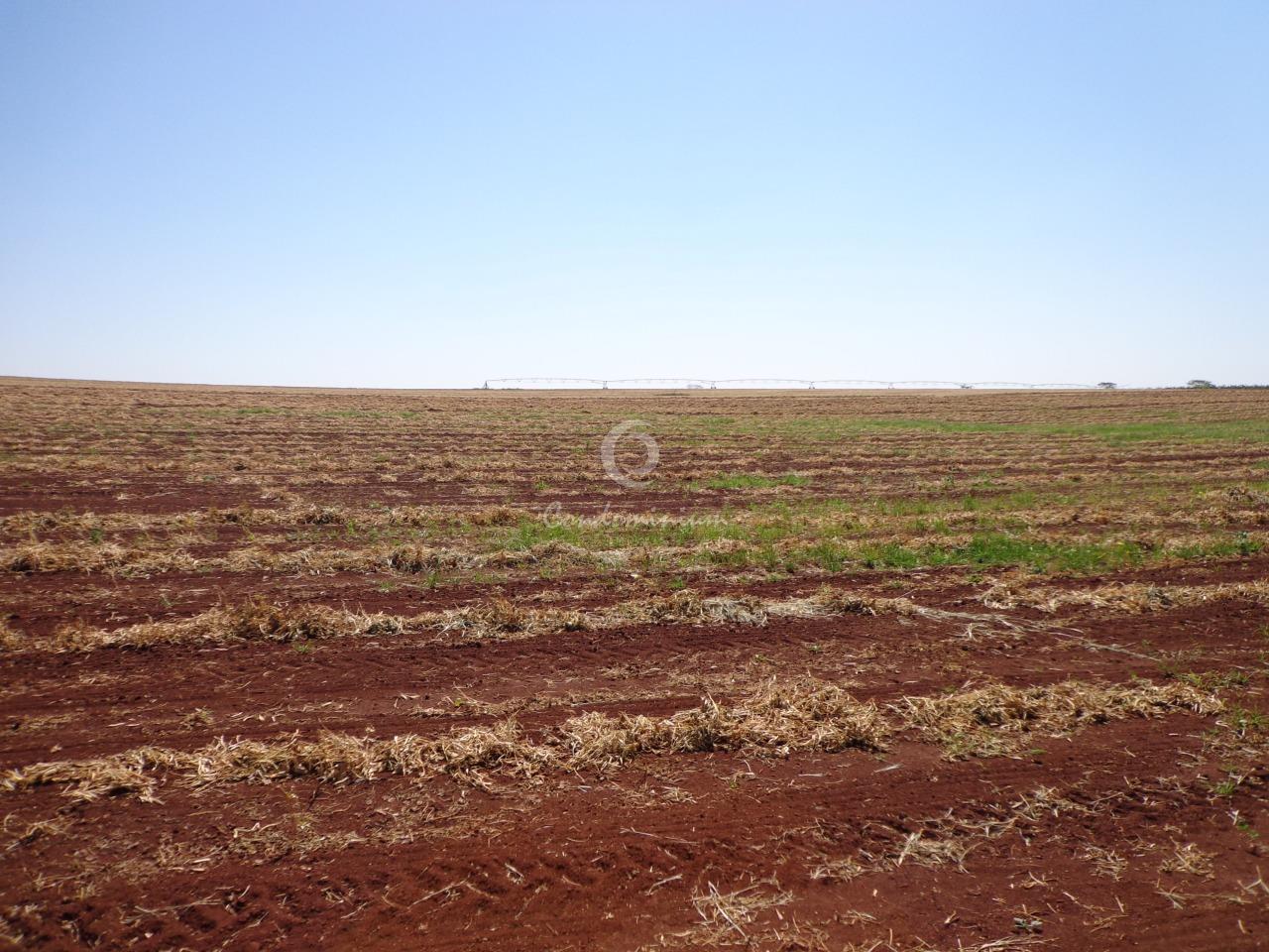 Fazenda / Sítio / Chácara  à venda, 225m² — foto 10 de 18