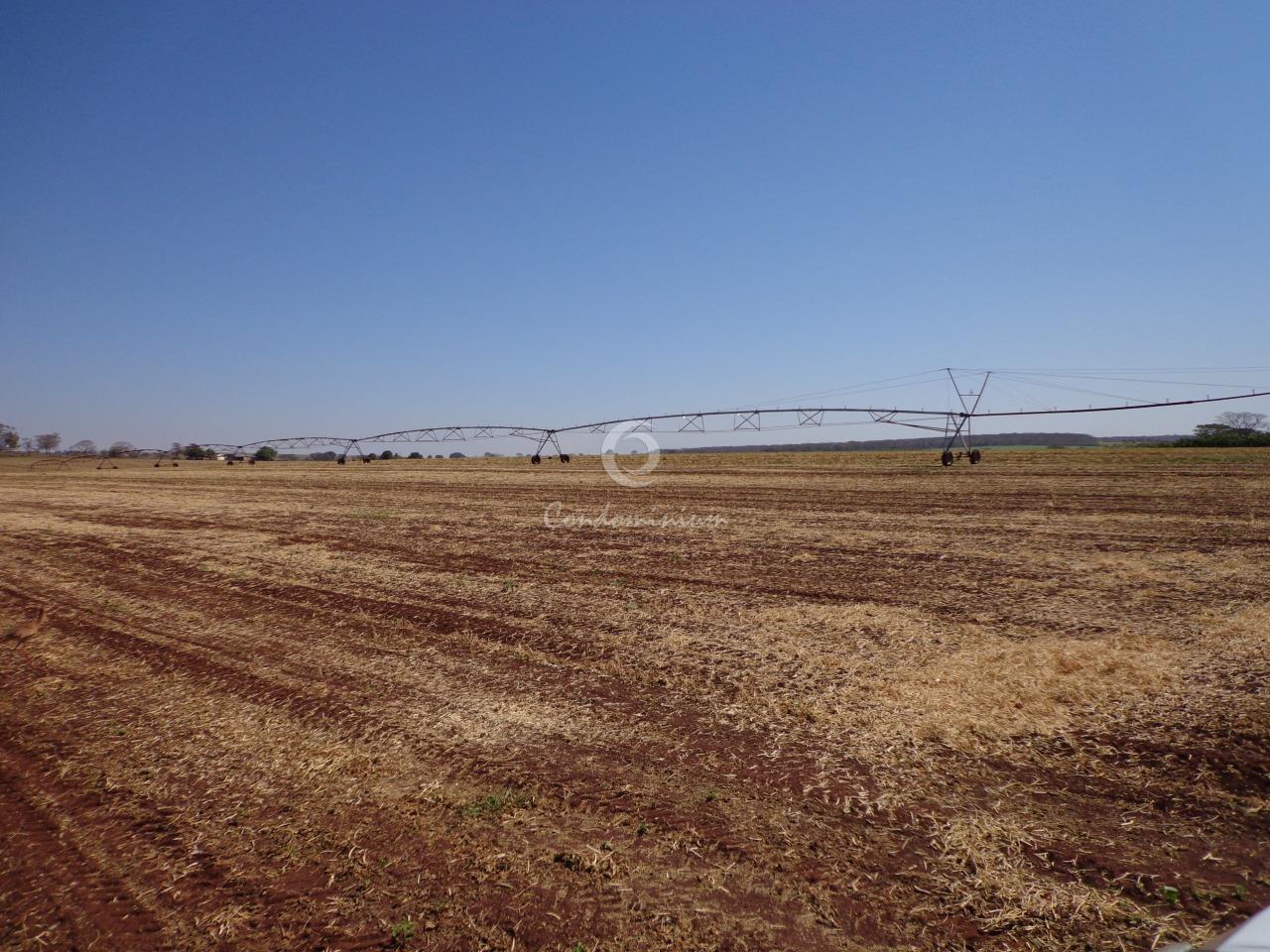 Fazenda / Sítio / Chácara  à venda, 225m² — foto 4 de 18