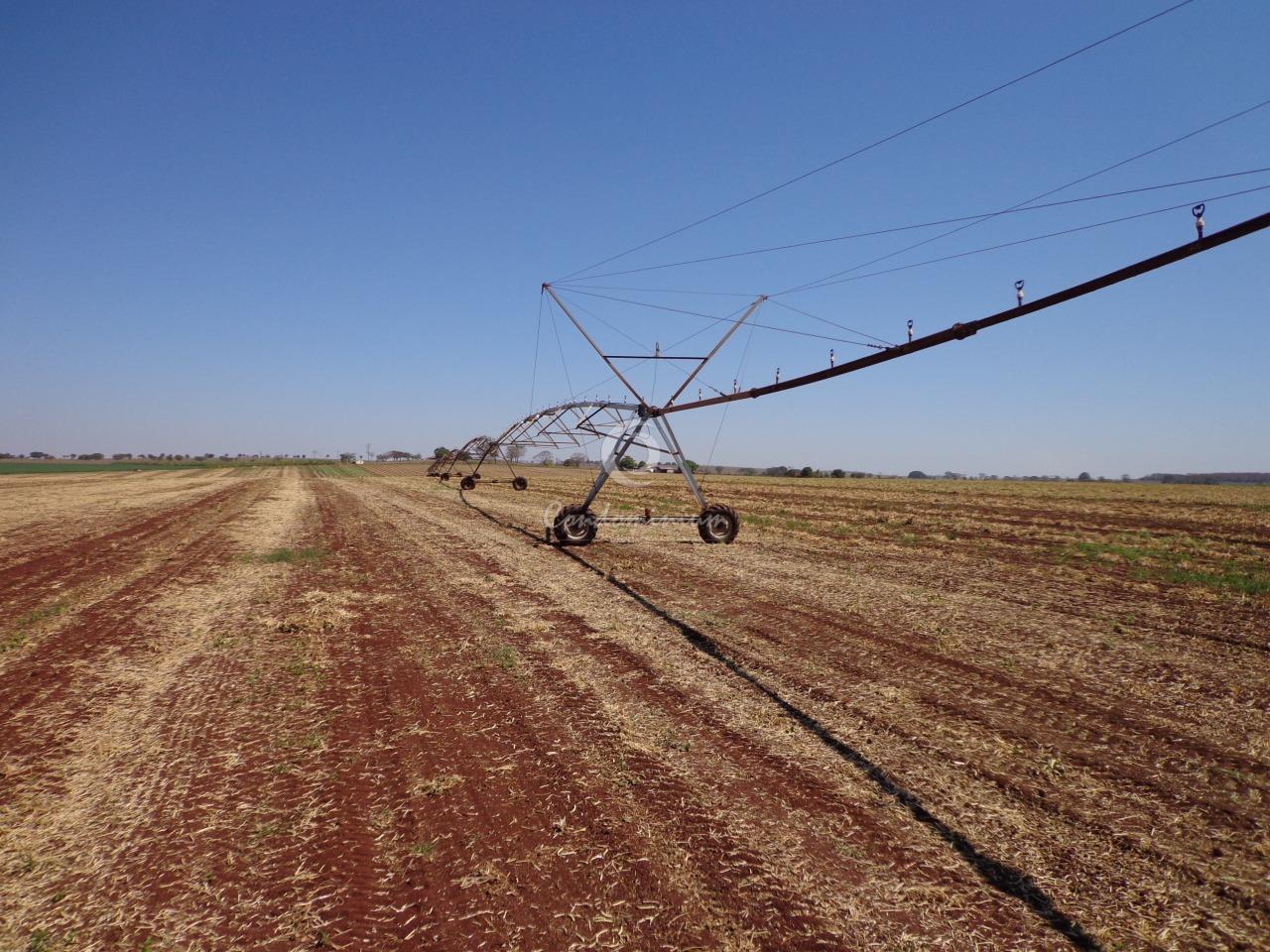 Fazenda / Sítio / Chácara  à venda, 225m² — foto 15 de 18