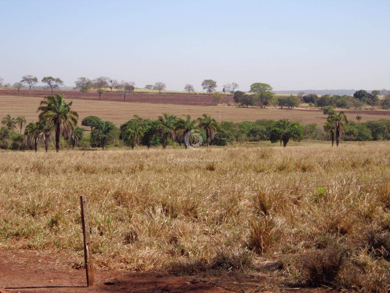 Fazenda / Sítio / Chácara  à venda, 201m² — foto 18 de 18