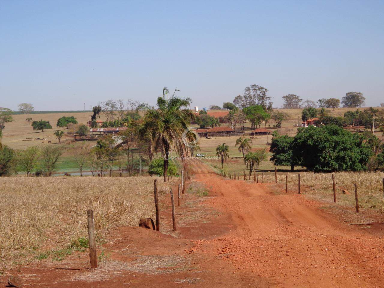 Fazenda / Sítio / Chácara  à venda, 201m² — foto 12 de 18
