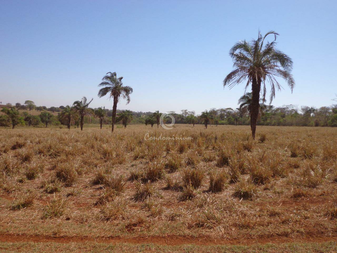 Fazenda / Sítio / Chácara  à venda, 201m² — foto 5 de 18