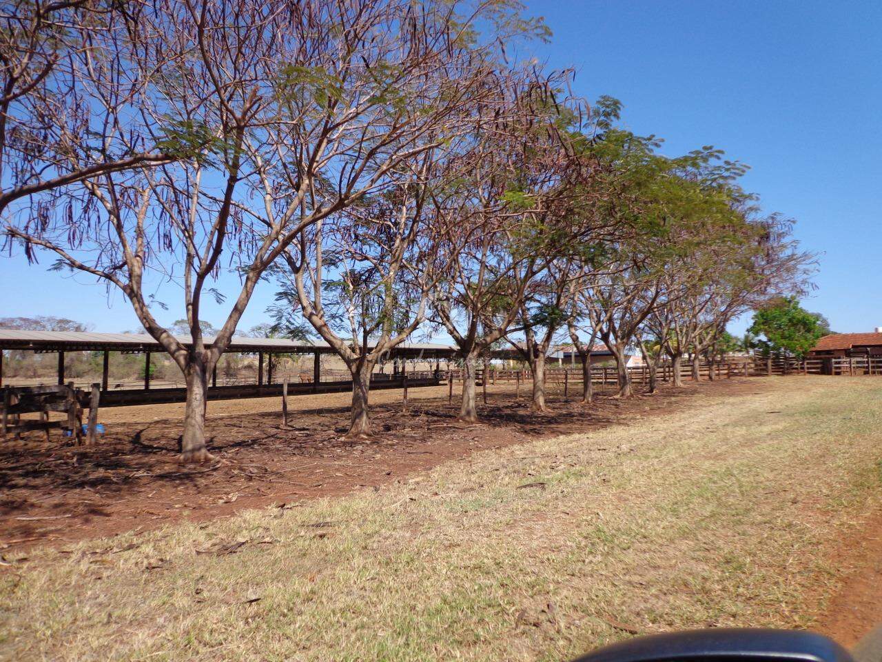 Fazenda / Sítio / Chácara  à venda, 201m² — foto 13 de 18