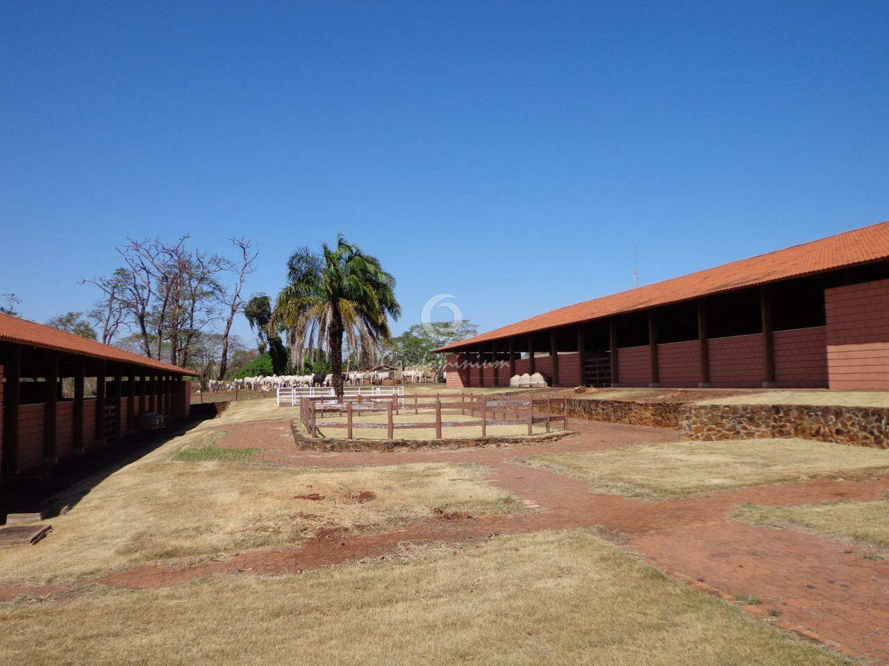Fazenda / Sítio / Chácara  à venda, 201m² — foto 4 de 18