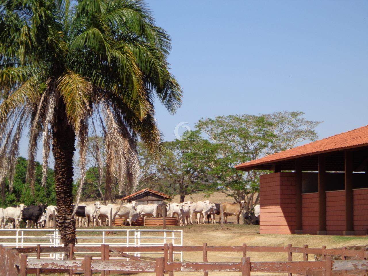 Fazenda / Sítio / Chácara  à venda, 201m² — foto 1 de 18