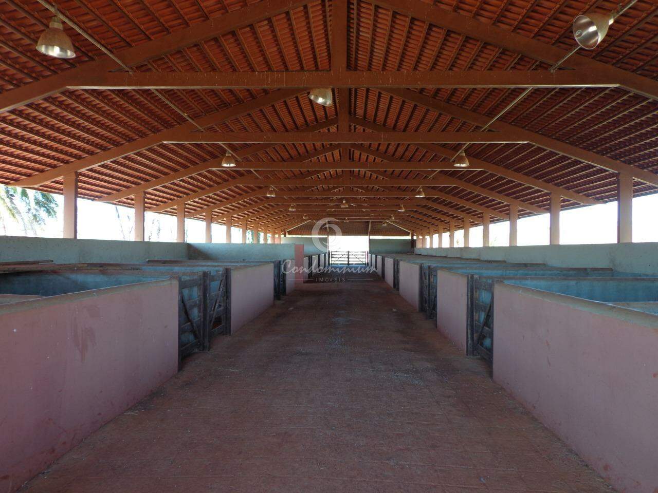 Fazenda / Sítio / Chácara  à venda, 201m² — foto 9 de 18