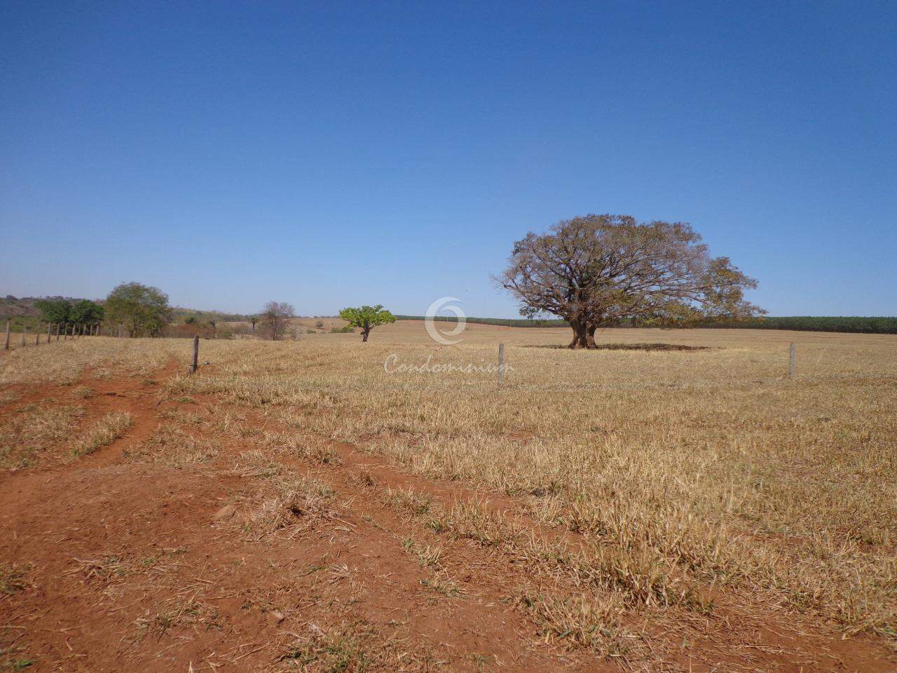 Fazenda / Sítio / Chácara  à venda, 201m² — foto 2 de 18