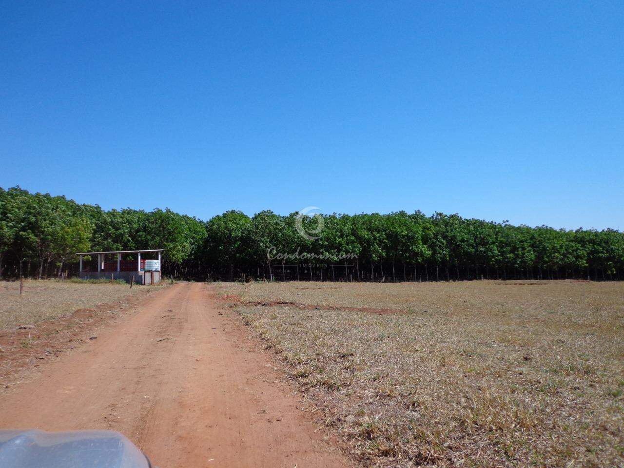 Fazenda / Sítio / Chácara  à venda, 201m² — foto 10 de 18