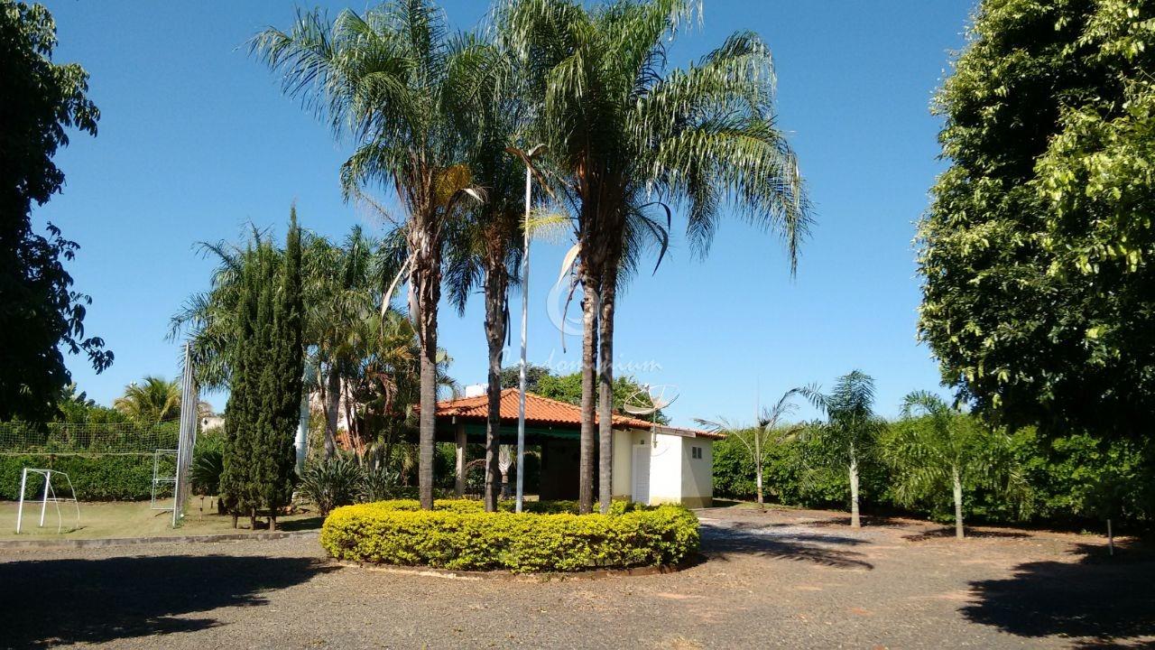 Fazenda / Sítio / Chácara com 3 quartos à venda, 140m² — foto 3 de 9