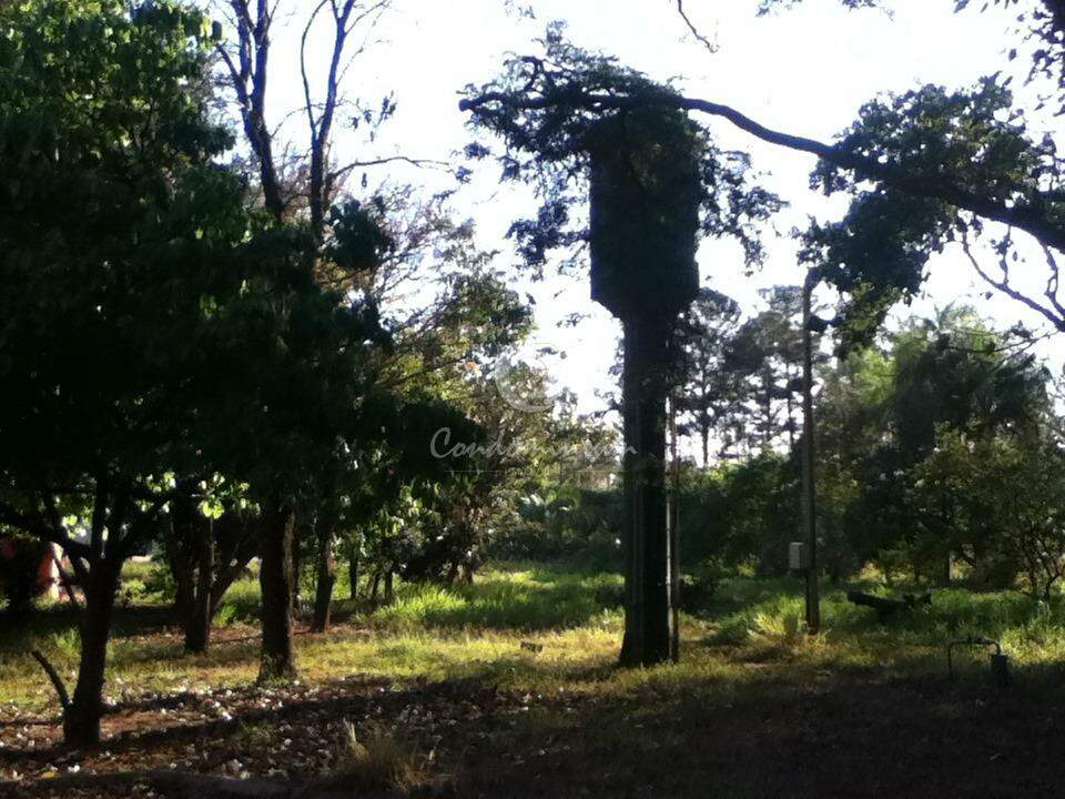 Fazenda / Sítio / Chácara com 3 quartos à venda, 500m² — foto 12 de 14