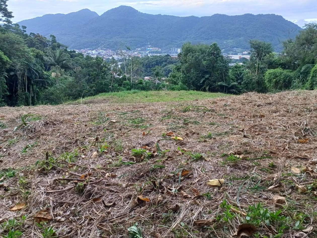 Terreno à venda no Ilha da Figueira: 