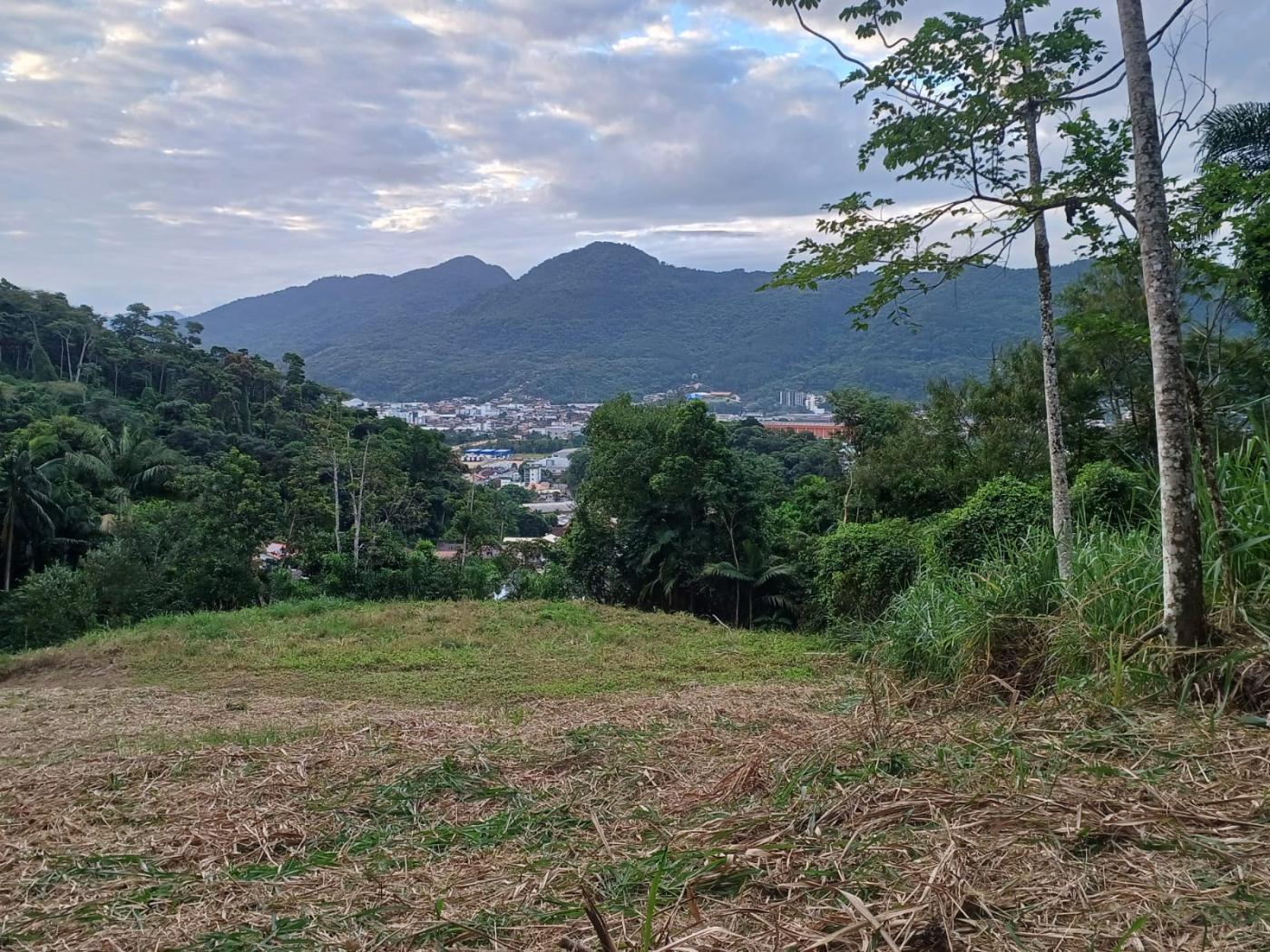 Terreno à venda no Ilha da Figueira: 