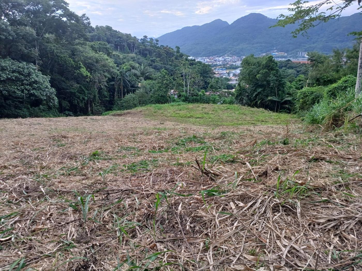 Terreno à venda no Ilha da Figueira: 