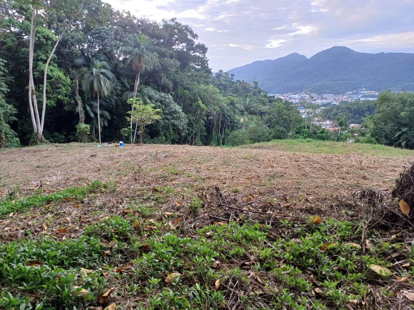 Terreno à venda no Ilha da Figueira: 