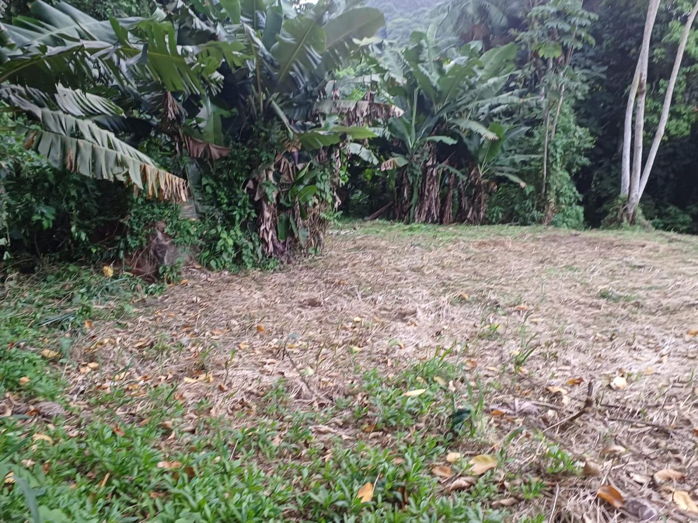 Terreno à venda no Ilha da Figueira: 