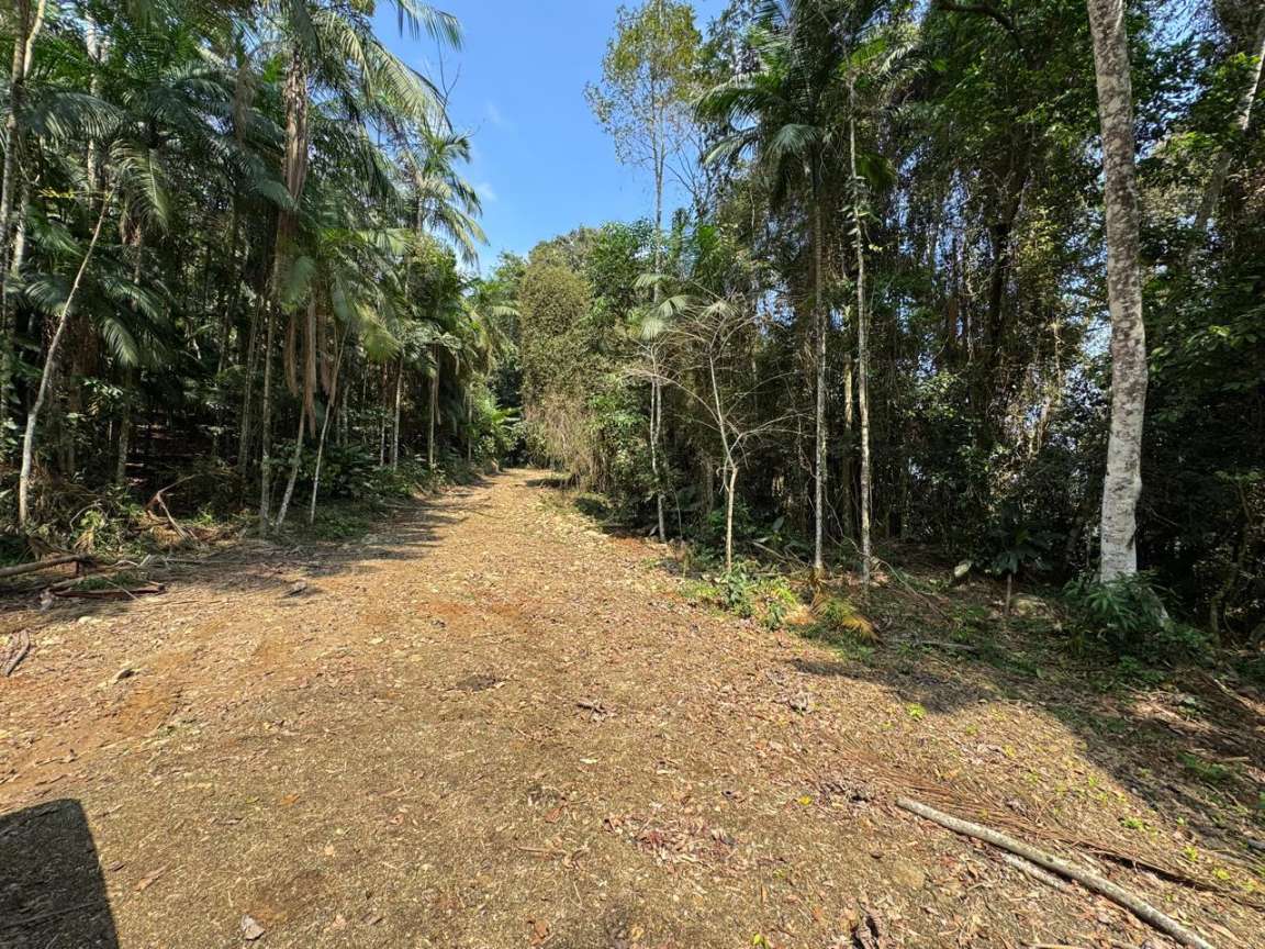 Área à venda no Garibaldi: 