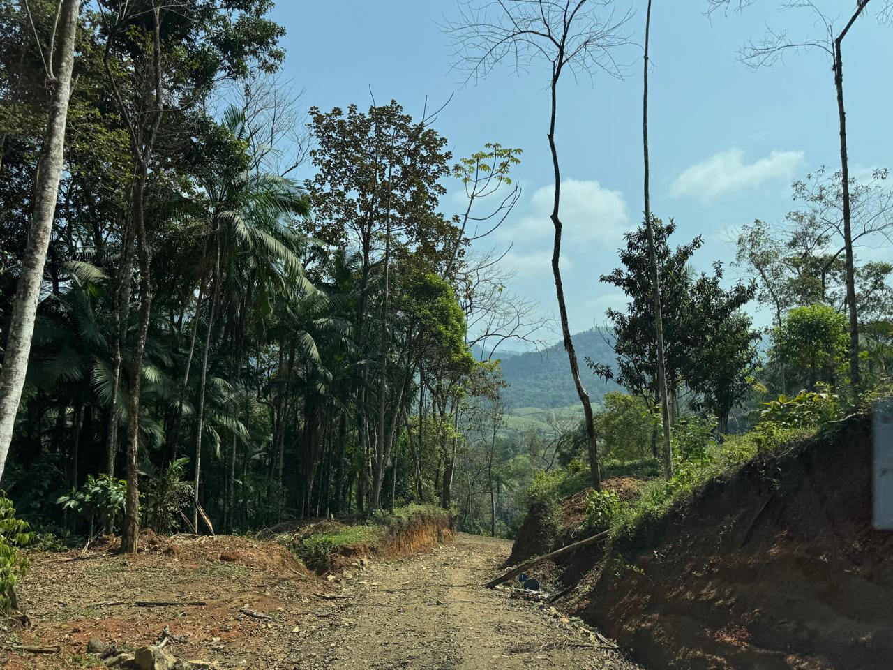 Área à venda no Garibaldi: 