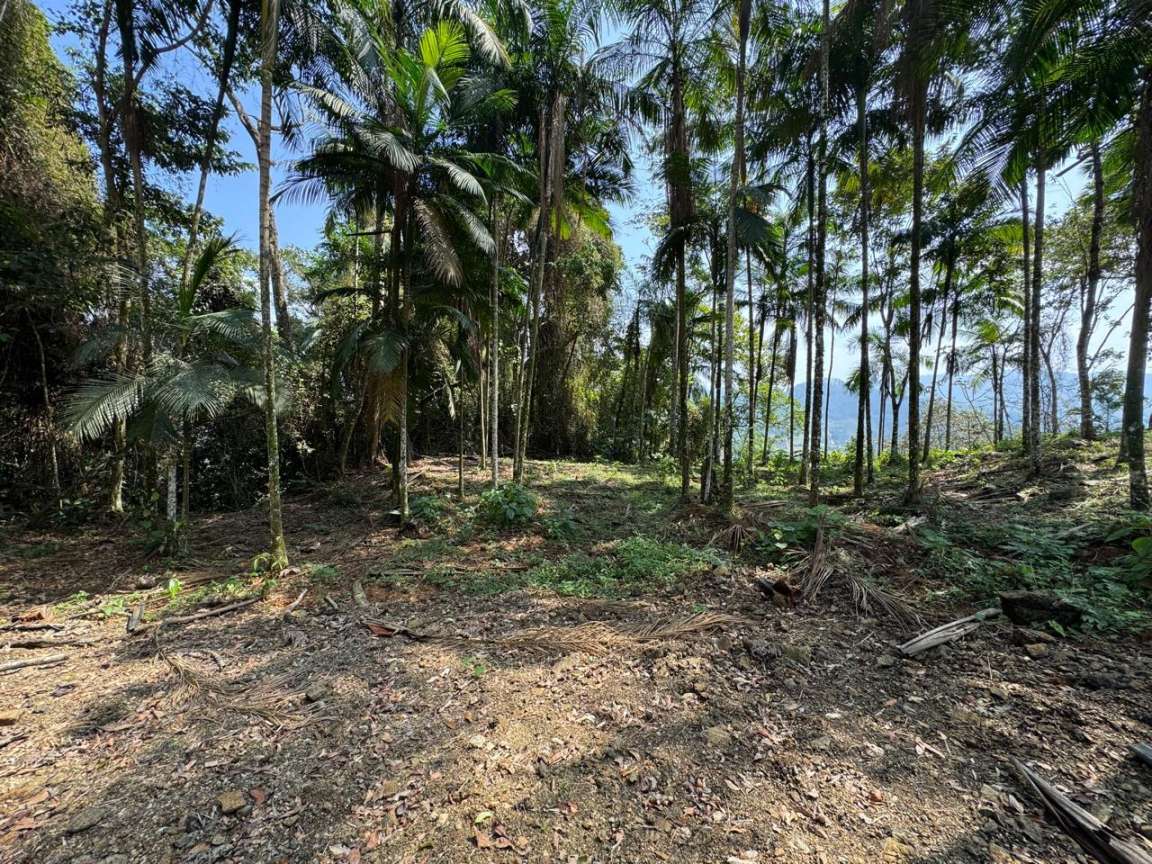 Área à venda no Garibaldi: 