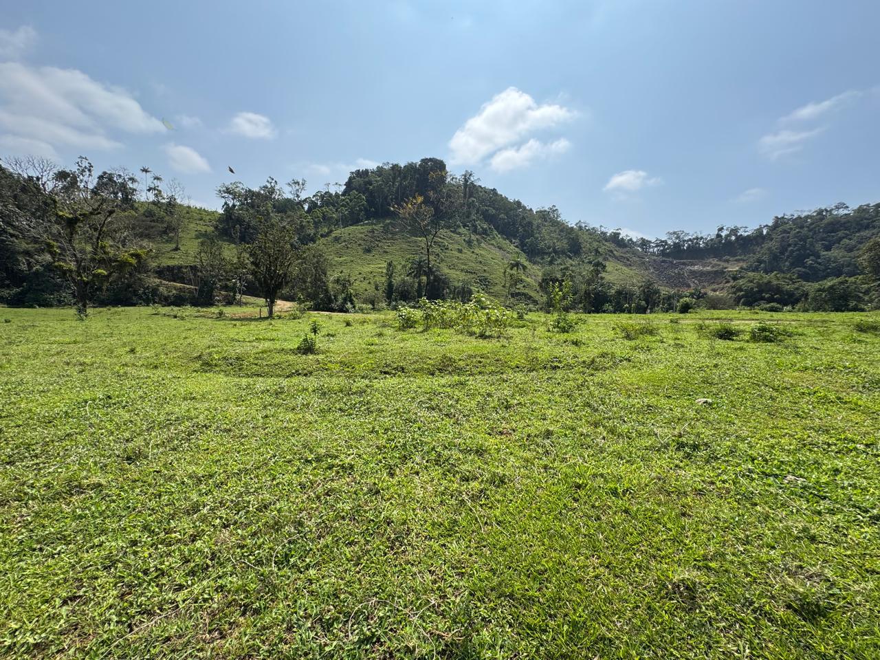 Área à venda no Garibaldi: 