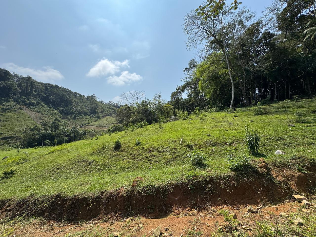 Área à venda no Garibaldi: 