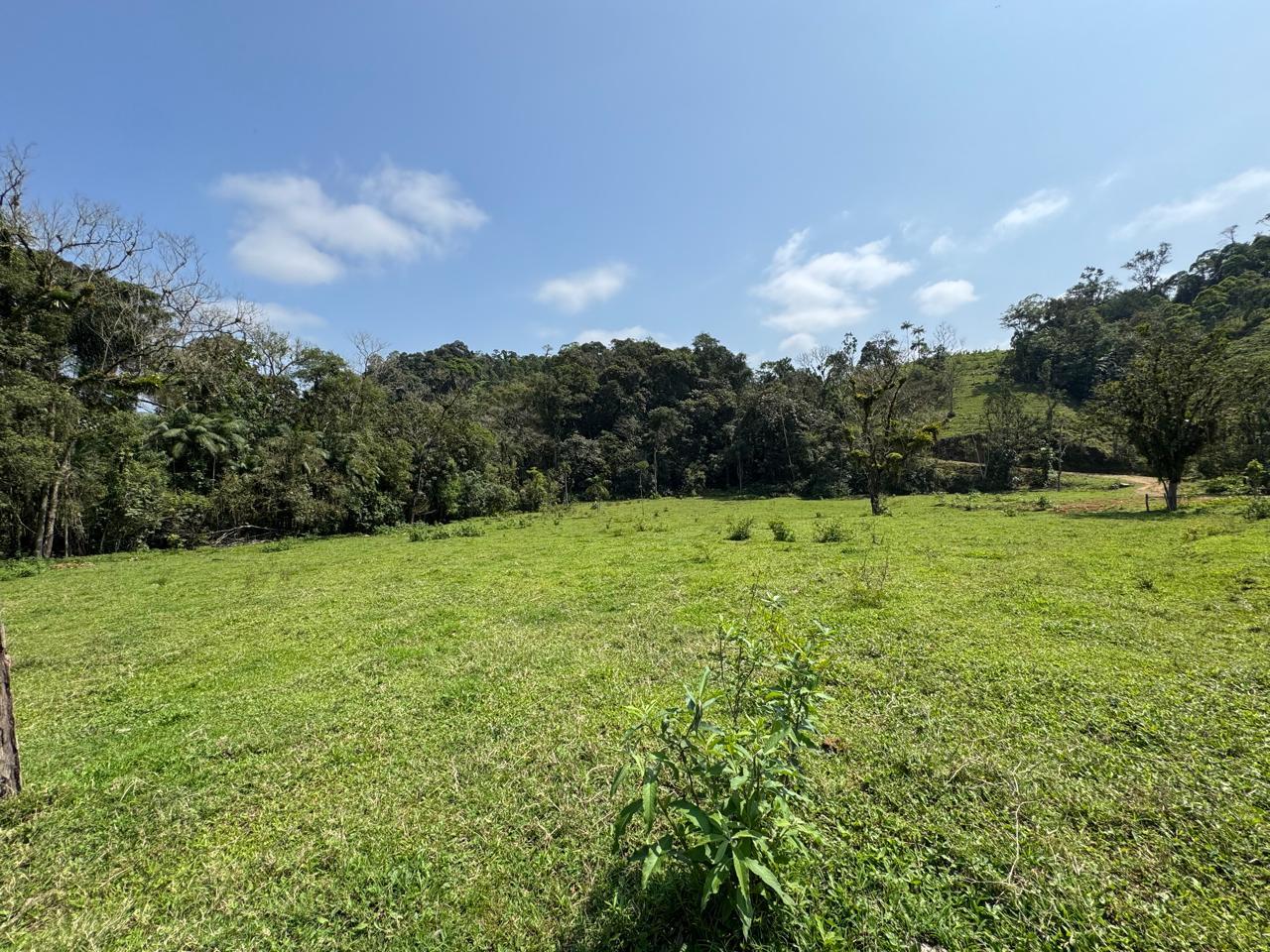 Área à venda no Garibaldi: 