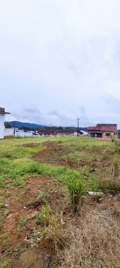 Terreno à venda no Ilha da Figueira: 