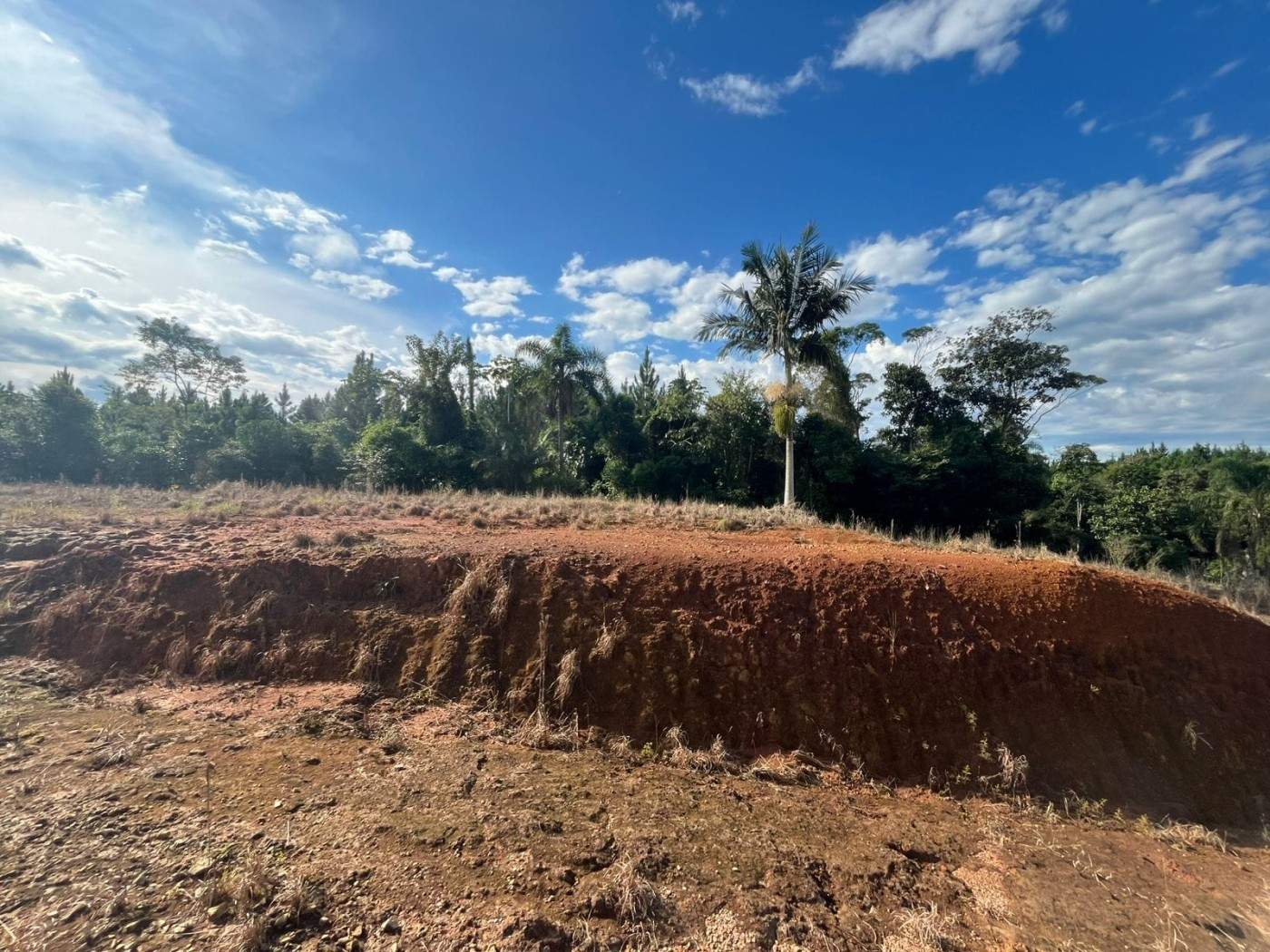 Área à venda no Rio Branco: 