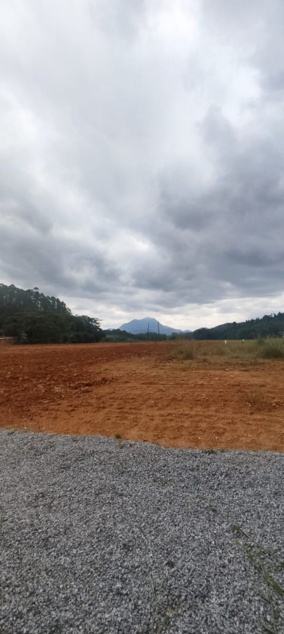 Terreno à venda no Guamiranga: 