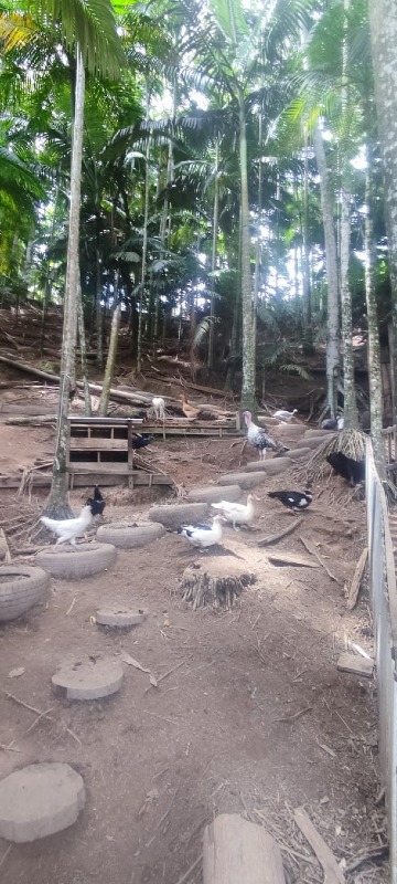 Chácara à venda no Parque Malwee: 