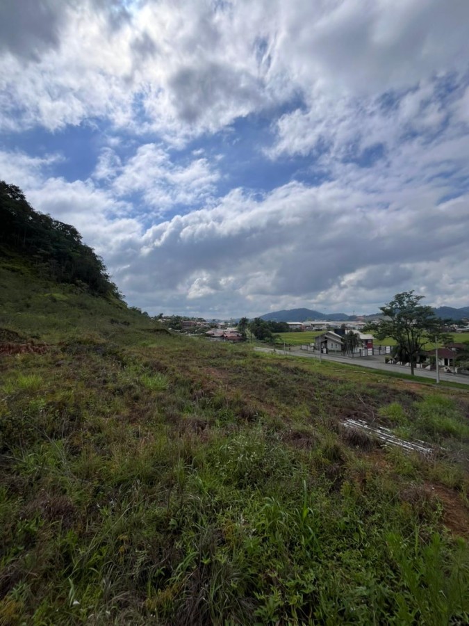 Terreno à venda no Avai: 