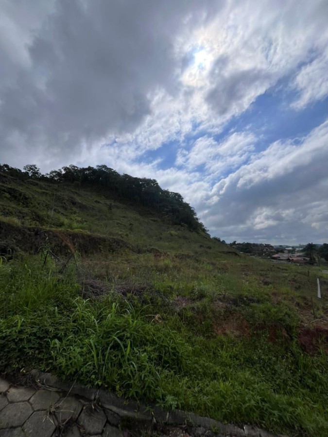 Terreno à venda no Avai: 