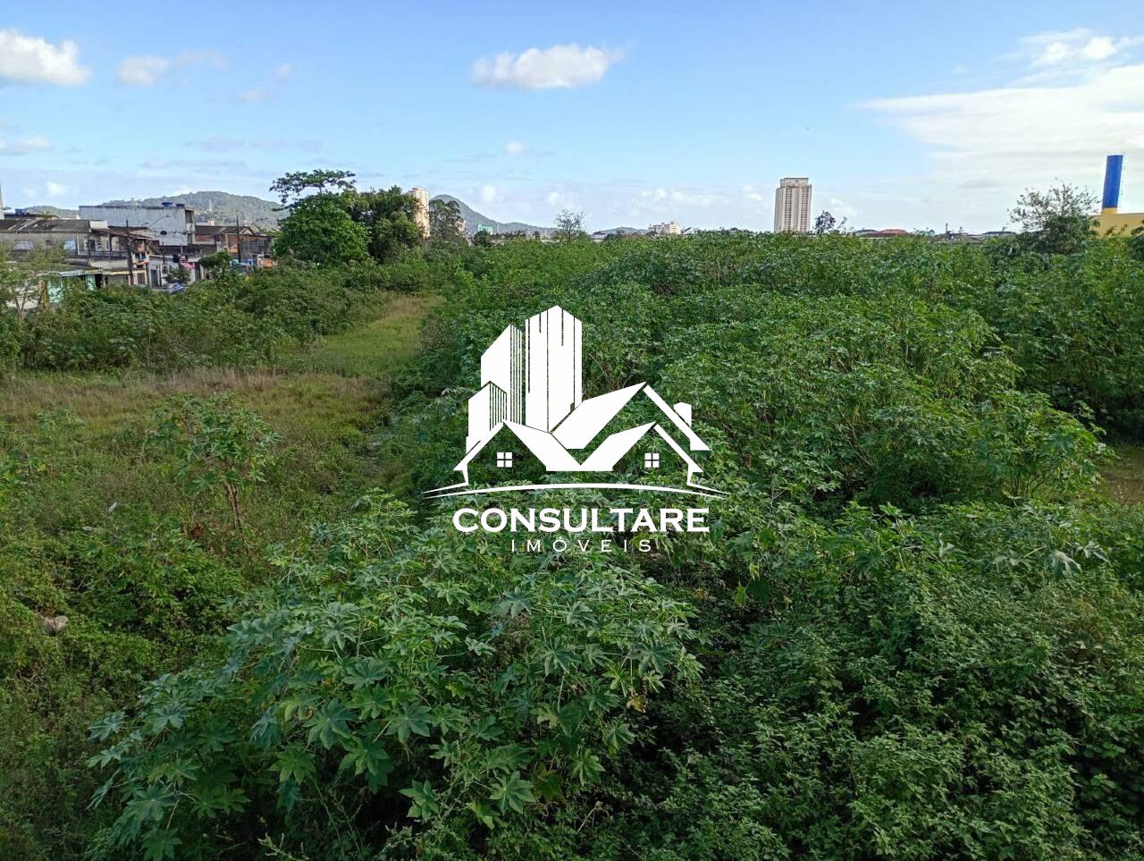 Terreno para aluguel no bairro Parque São Vicente por 45.000,00: 