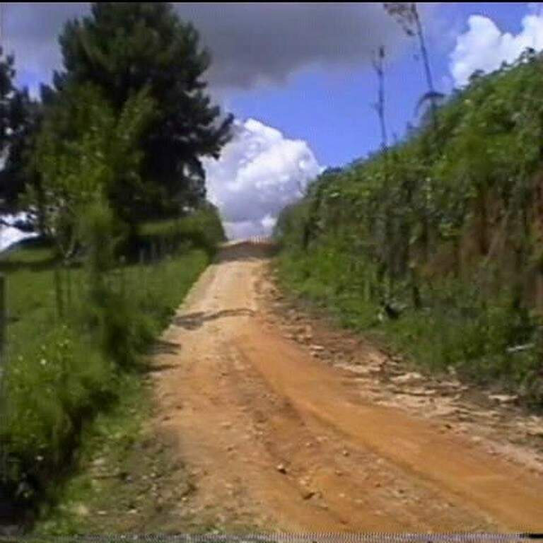 Área rural em Tijucas do Sul com 6 alqueires