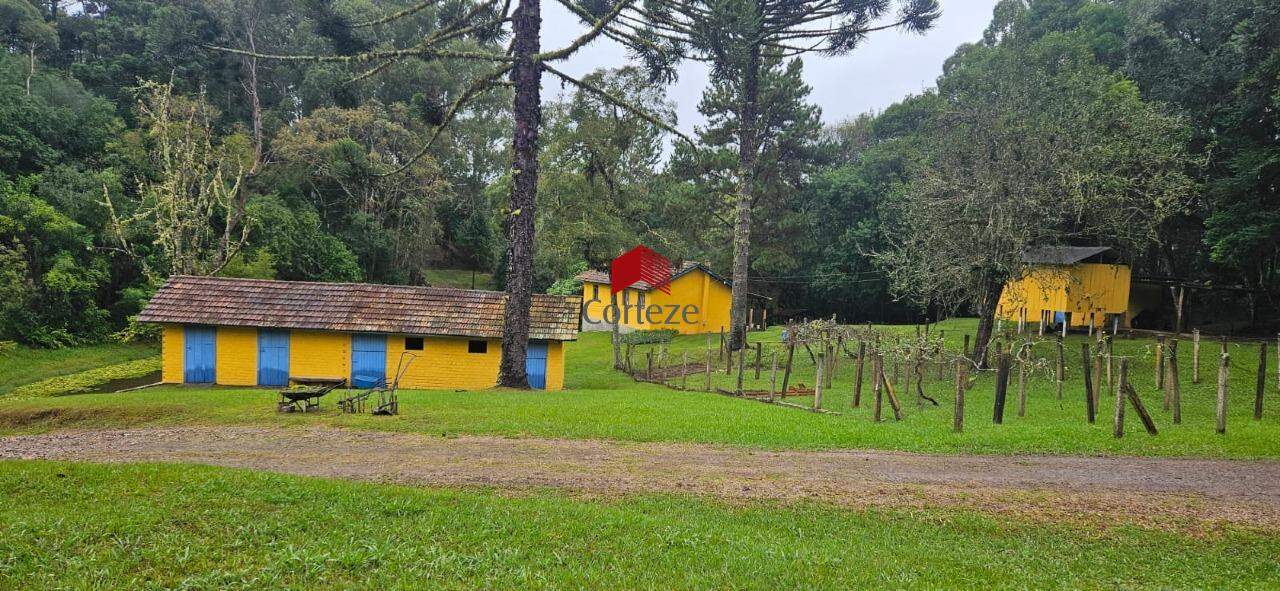 Chácara para à venda no Contenda em São José dos Pinhais - 17848: 