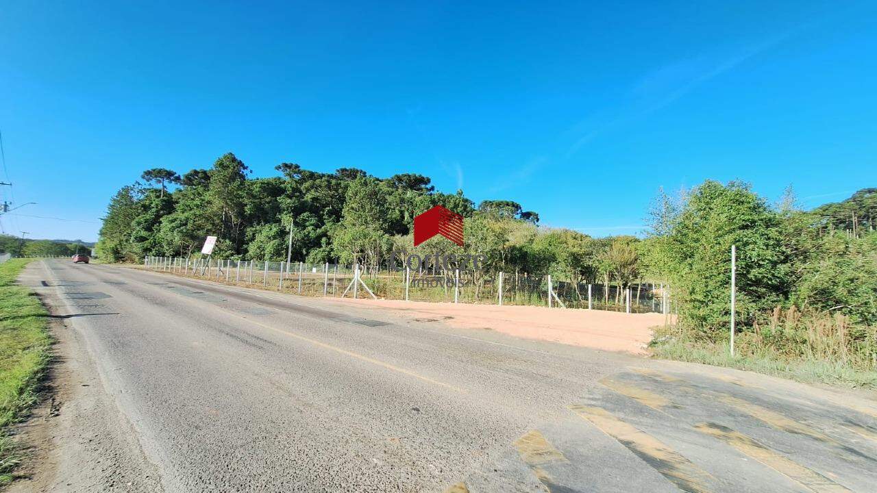 Terreno para à venda no Cachoeira em São José dos Pinhais - 17864: 