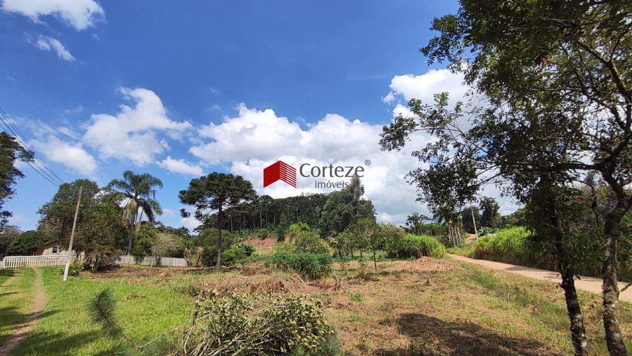 Terreno para à venda no Cachoeira em São José dos Pinhais - 17864: 