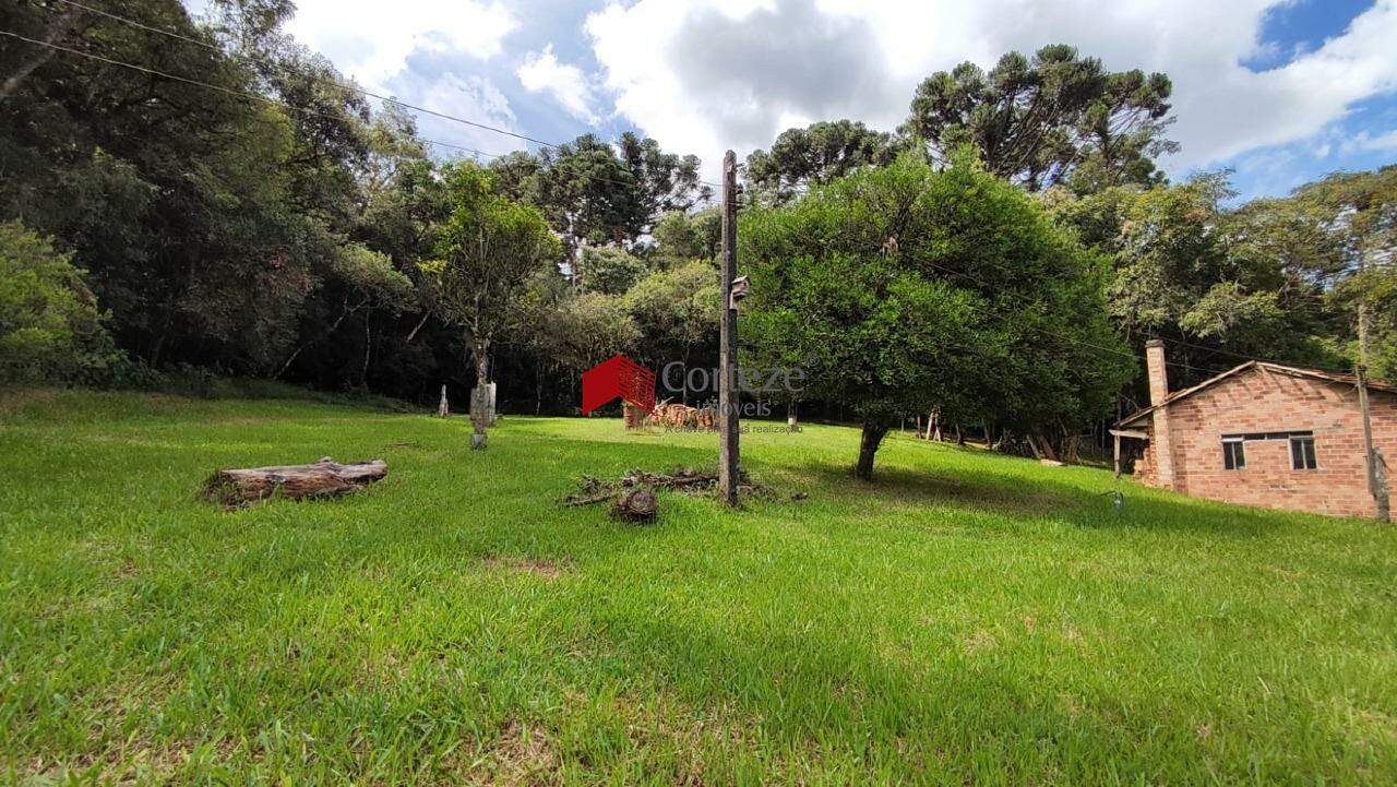 Terreno para à venda no Cachoeira em São José dos Pinhais - 17864: 