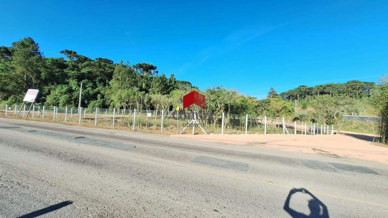 Terreno para à venda no Cachoeira em São José dos Pinhais - 17864: 