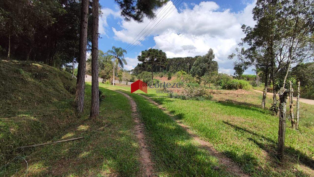 Terreno para à venda no Cachoeira em São José dos Pinhais - 17864: 