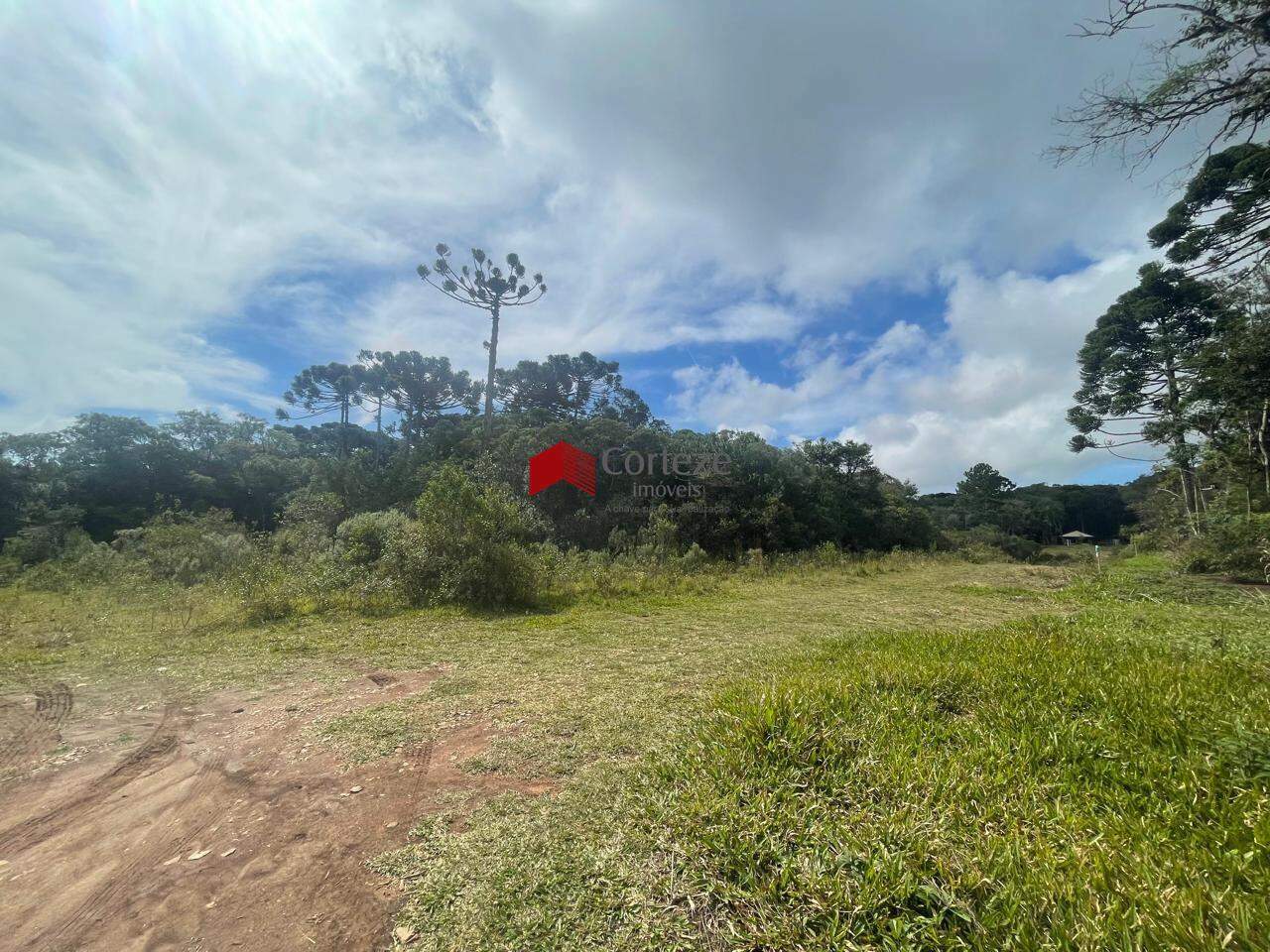 Terreno com 970m² , à venda, no bairro Borda do Campo em São José dos Pinhais