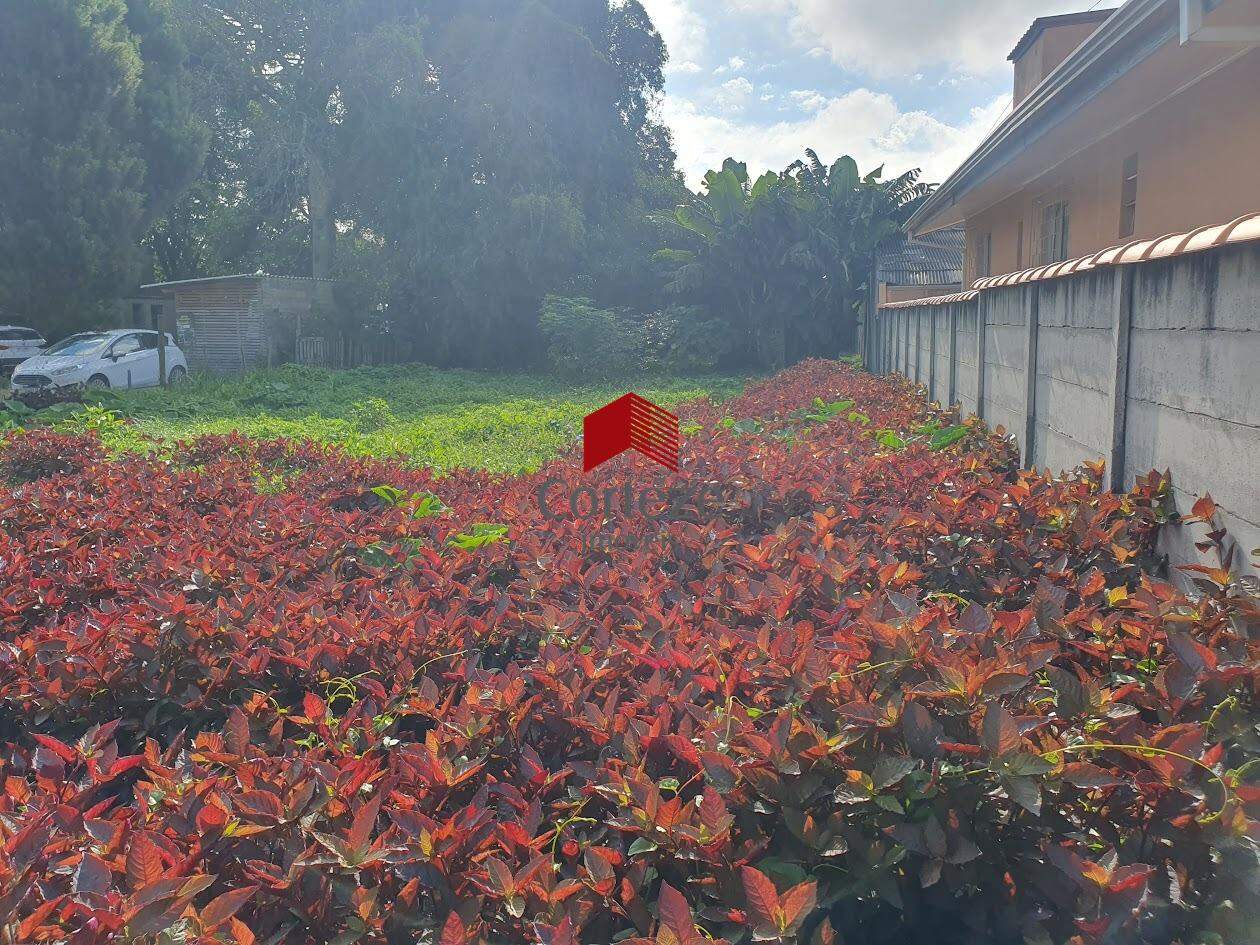 Terreno para à venda no Boqueirão em Curitiba - 19218: 