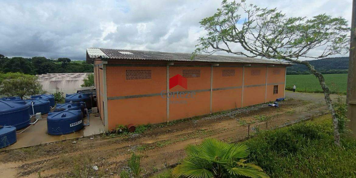 Área Rural para à venda no Área Rural Lapa em Lapa - 19379: 