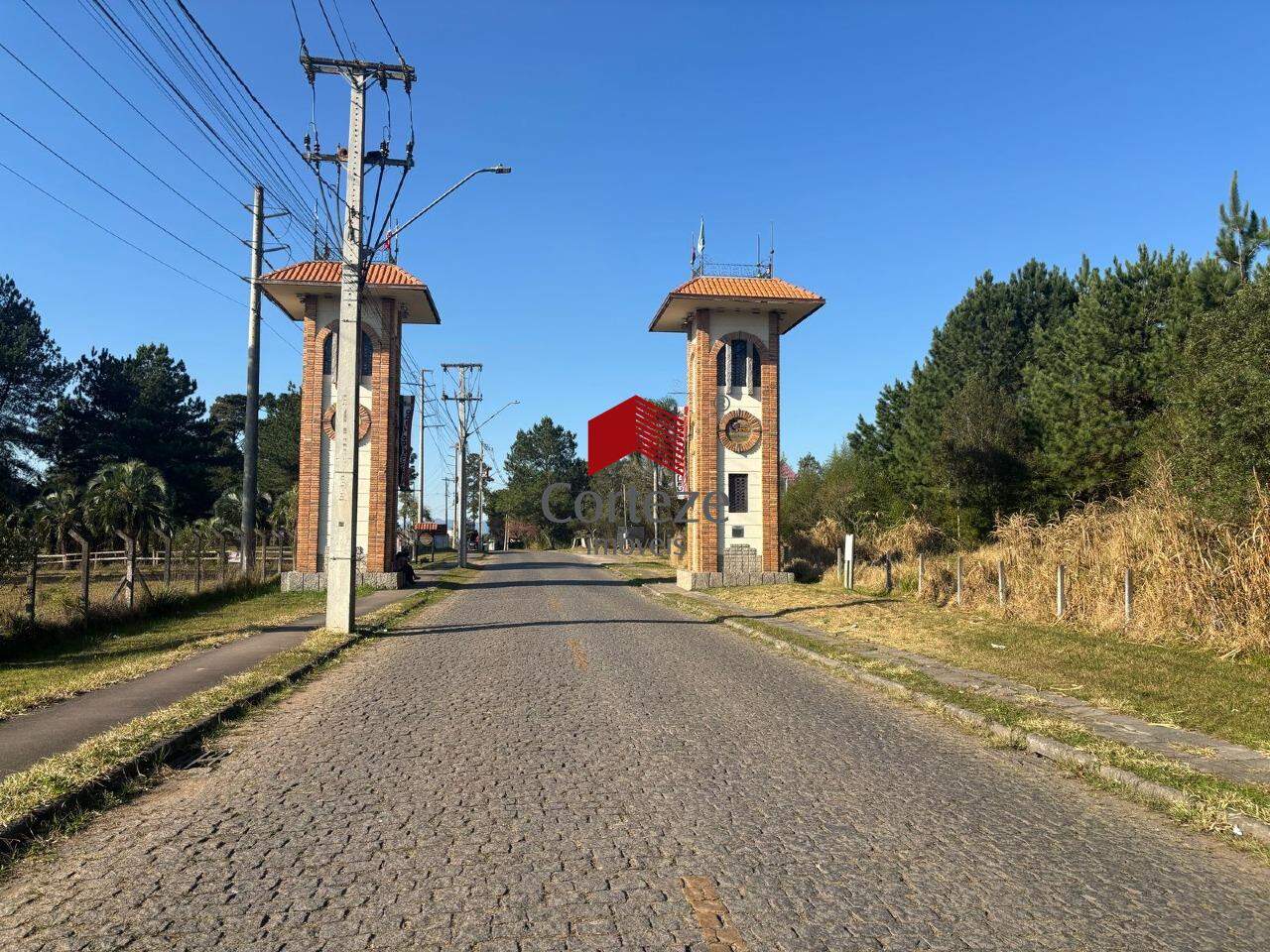Área Rural para à venda no Colônia Murici em São José dos Pinhais - 19535: 